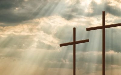 Lectio Divina del 23 de noviembre de 2025